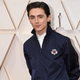 Illustration for article titled Big actor Timothée Chalamet had very tiny cameo in Luca Guadagninos HBO show